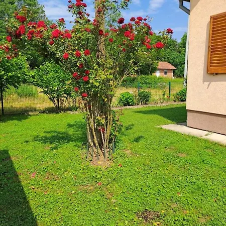 Campervan Parking For Two People Or Land For Your Own Tent Payment Is For Three Countries Slovenia Croatia And Bosnia For More Info Write The Following Words Into Youtube Campervan Parking Or Land For Your Tent In Ljubljana Croatia And Bosnia *